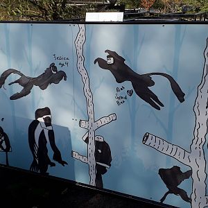 Snowden Colobus artwork 10 November 2019