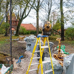 Former Lion Enclosure - 12/11/2019