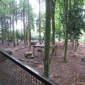 Wolverine enclosure 071019