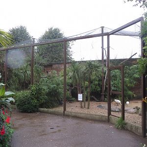 Large aviary within Walled Garden 071019