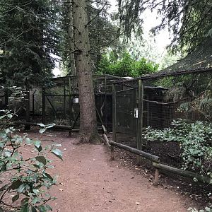 Aviary examples 071019