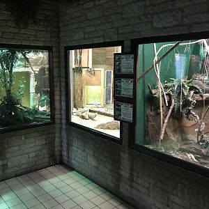 Reptile House 071019