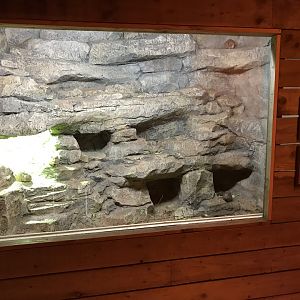 Little Africa - Gundi exhibit 071019