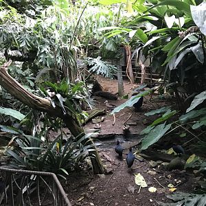 Tropical House 071019