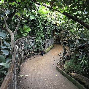 Tropical House 071019