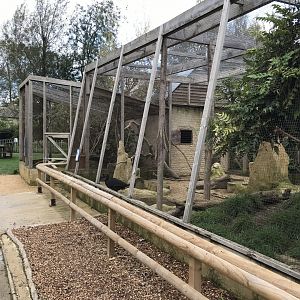 Out of Africa aviary 081019