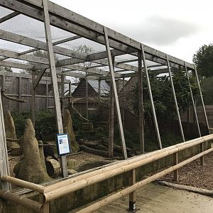 Out of Africa aviary 081019