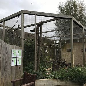 Out of Africa exhibit 081019