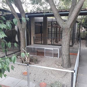 Red-footed tortoise exhibit and Java macaque exhibit behind