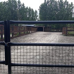 Grant's zebra exhibit
