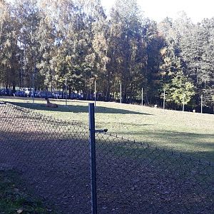 South American exhibit