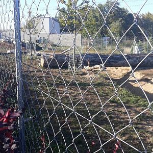 Spotted hyena exhibit