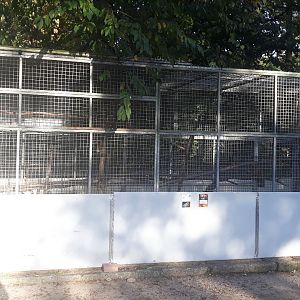 Provisional Kea aviary