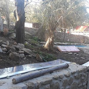 Asian small-clawed otter exhibit (in construction)