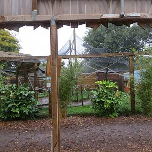 Lemur walkthrough 251019