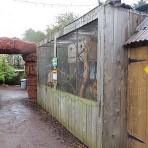 Rainbow lorikeet aviary 251019