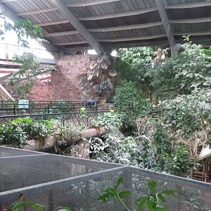 Tropical Realm 261019