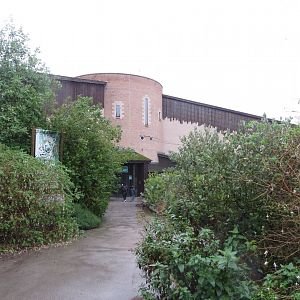 Spirit of the Jaguar 261019