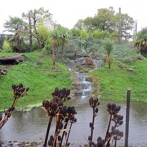 Jaguar outdoors 261019