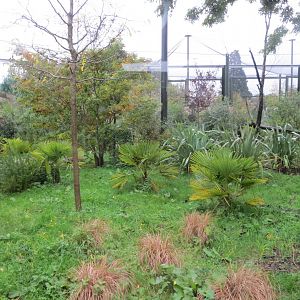 Fossa exhibit 261019