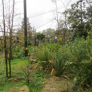 Lemur walkthrough 261019