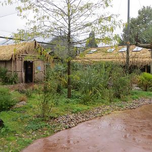 Lemur walkthrough 261019