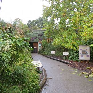 View towards Fruit Bat Forest 261019