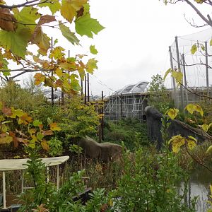 Islands - work on Monsoon Forest 261019