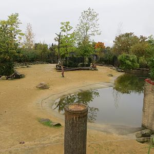 Islands - Javan banteng exhibit 261019