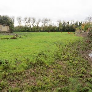 Western sitatunga exhibit 261019