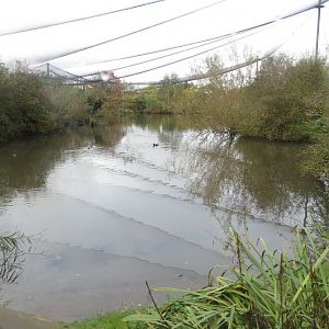 The Ronald and Kathleen Pryor Bird Hide 261019