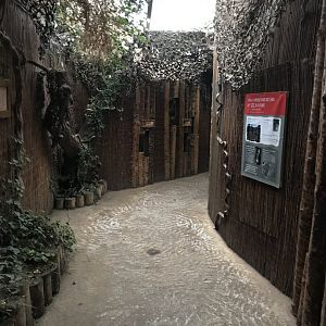 Giraffe House interior 261019