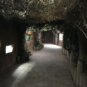 Giraffe House interior 261019