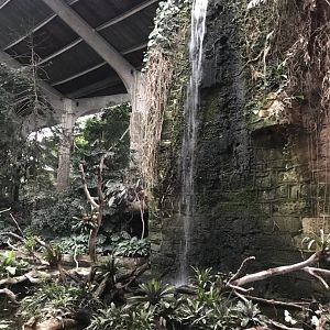 Tropical Realm 261019