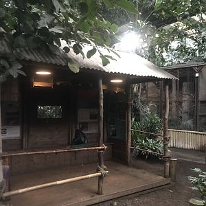 Tropical Realm 261019