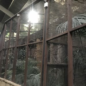 Tropical Realm - smaller hornbill aviaries 261019