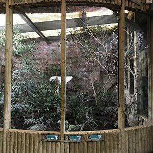 Tropical Realm aviary 261019