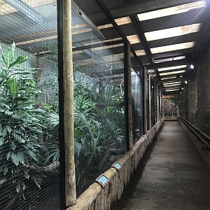 Tropical Realm - upper level aviaries 261019