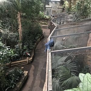 Tropical Realm 261019