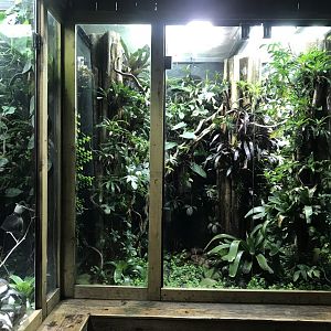 Tropical Realm - vivarium example 261019