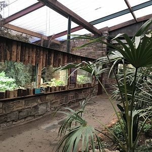 Tropical Realm - view towards Tuatara exhibit 261019