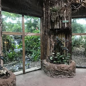 Spirit of the Jaguar 261019