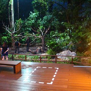 Fishing Cat Trail - Explorer Outpost