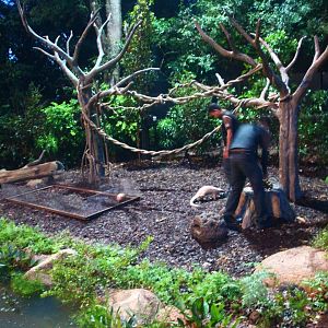 Fishing Cat Trail - Explorer Outpost