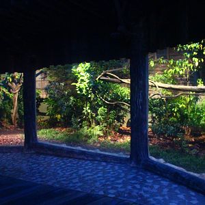 Fishing Cat Trail - Sumatran Palm Civet and Sunda Pangolin exhibit