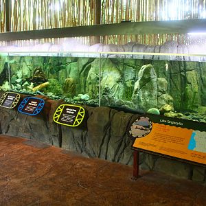 Lake Tanganyika exhibit