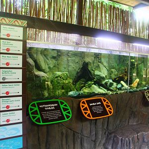 Lake Tanganyika exhibit