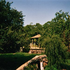 African Elephant & Lion Exhibit