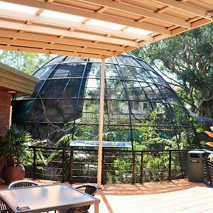 Rainforest Dome Aviary