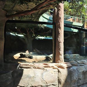 Freshwater Crocodile/Turtle Enclosure